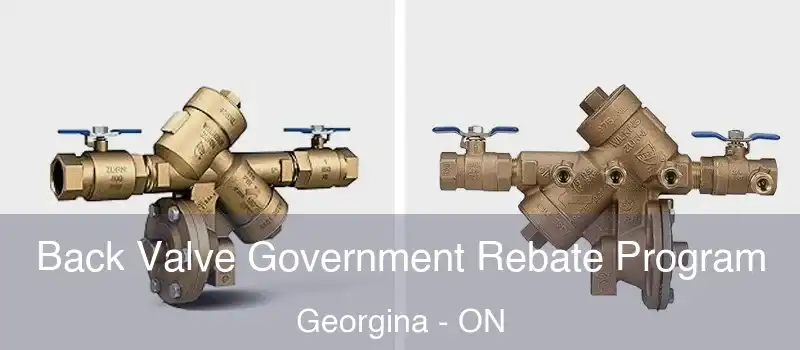  Back Valve Government Rebate Program Georgina - ON