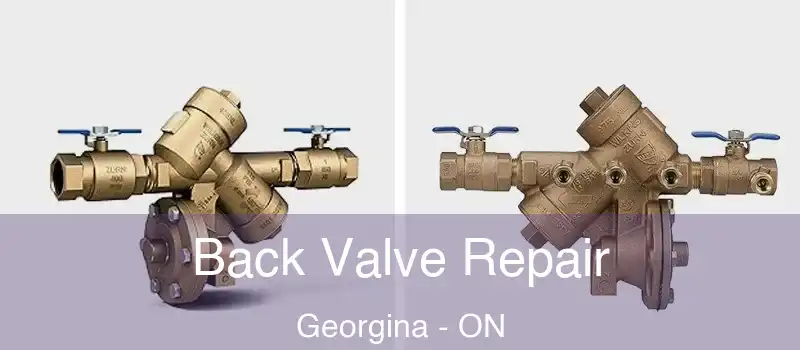  Back Valve Repair Georgina - ON