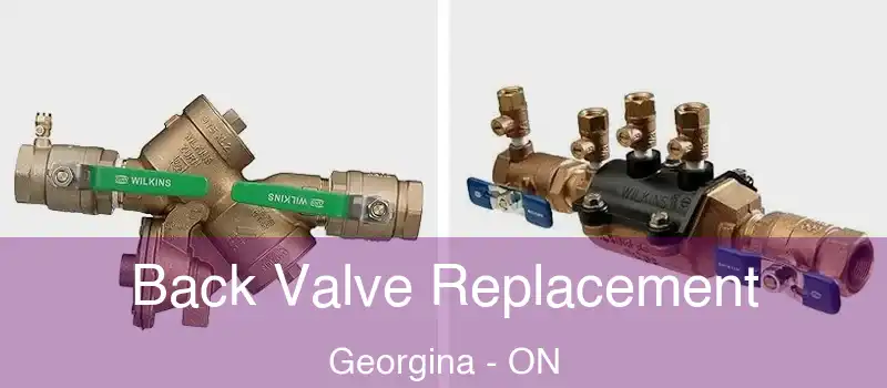  Back Valve Replacement Georgina - ON