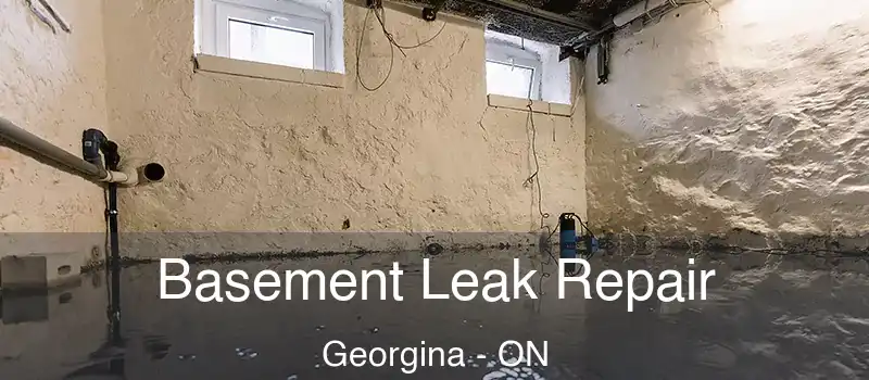  Basement Leak Repair Georgina - ON