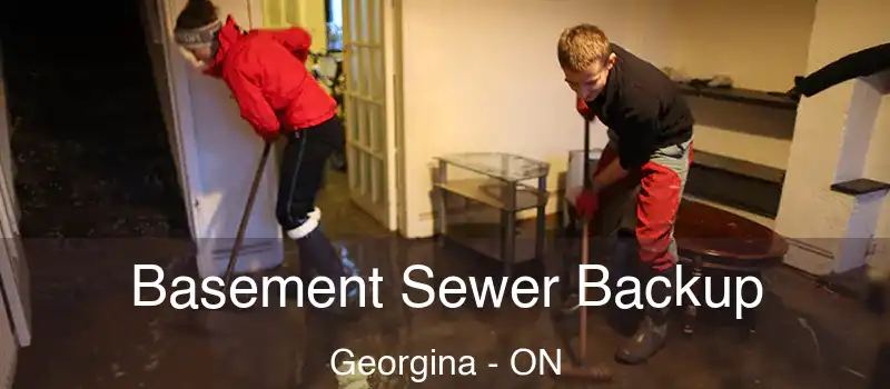  Basement Sewer Backup Georgina - ON