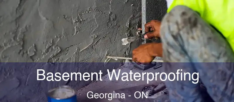  Basement Waterproofing Georgina - ON
