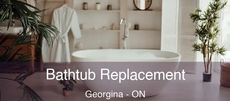  Bathtub Replacement Georgina - ON