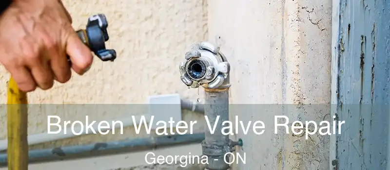  Broken Water Valve Repair Georgina - ON