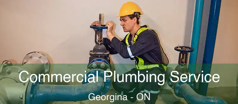  Commercial Plumbing Service Georgina - ON