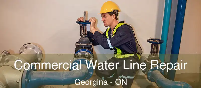  Commercial Water Line Repair Georgina - ON