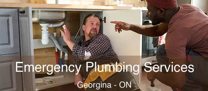  Emergency Plumbing Services Georgina - ON