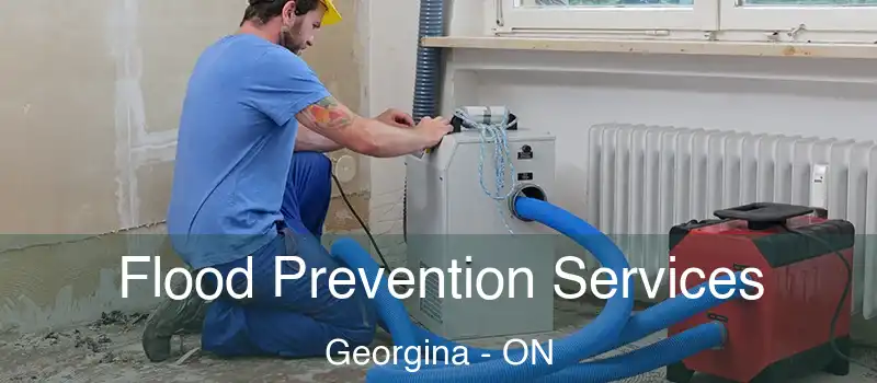  Flood Prevention Services Georgina - ON