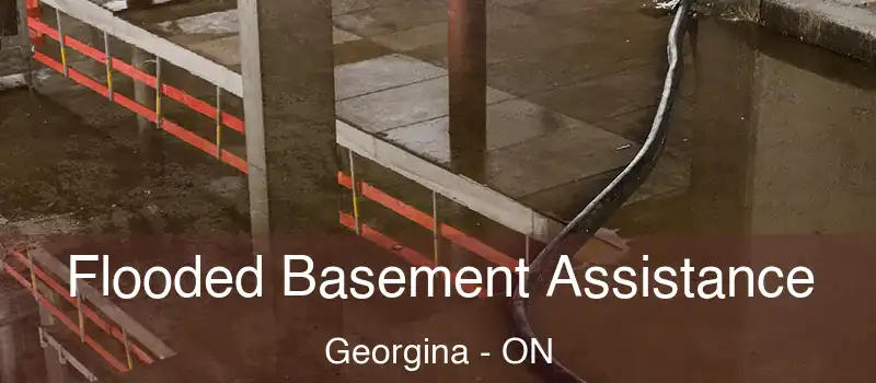  Flooded Basement Assistance Georgina - ON