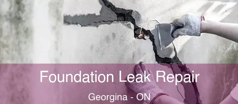  Foundation Leak Repair Georgina - ON