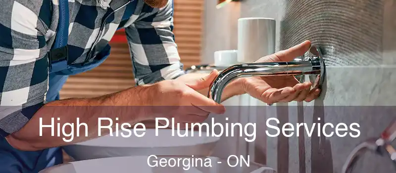  High Rise Plumbing Services Georgina - ON