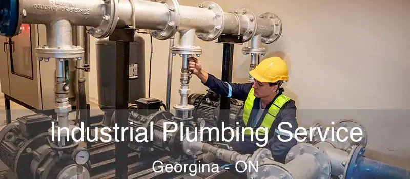  Industrial Plumbing Service Georgina - ON