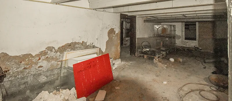 Home Basement Renovation in Georgina, Ontario