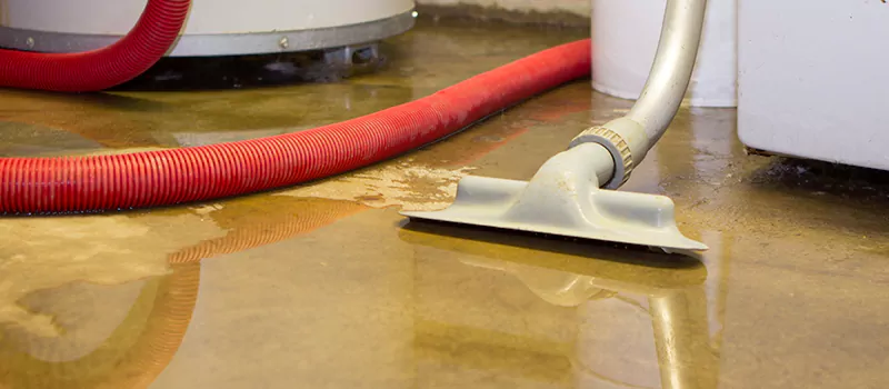 Professional Sewer Backup Cleanup Services in Georgina, ON