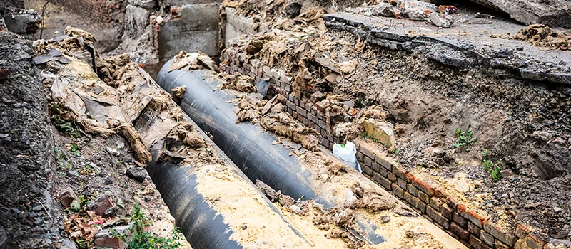 Commercial Sewer Tree Roots Damage Solutions in Georgina, ON