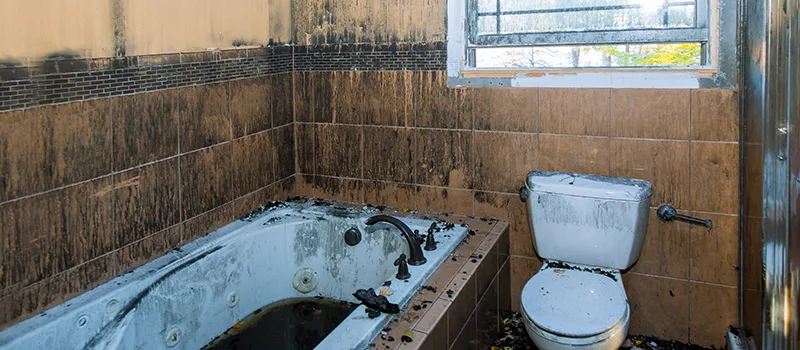 Residential Water Damage Restoration in Georgina, ON