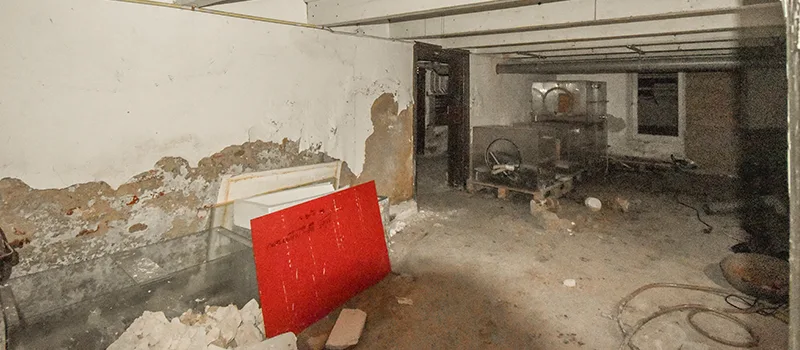 Basement Water Flooding Restoration in Georgina, ON