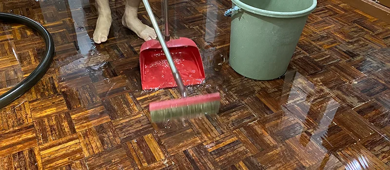 Water Removal And Restoration Services in Georgina, ON