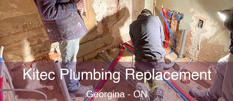  Kitec Plumbing Replacement Georgina - ON