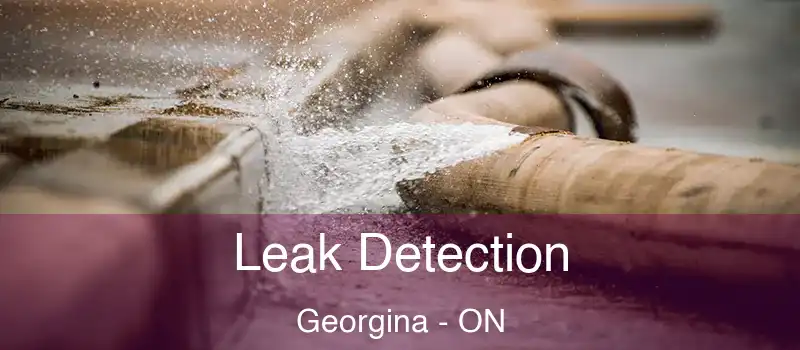  Leak Detection Georgina - ON