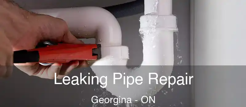  Leaking Pipe Repair Georgina - ON