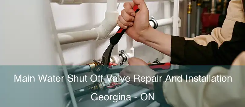  Main Water Shut Off Valve Repair And Installation Georgina - ON