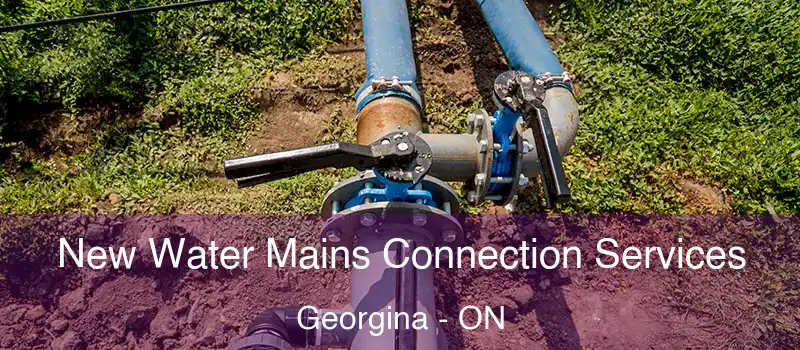  New Water Mains Connection Services Georgina - ON