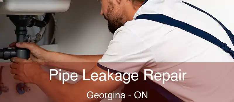  Pipe Leakage Repair Georgina - ON