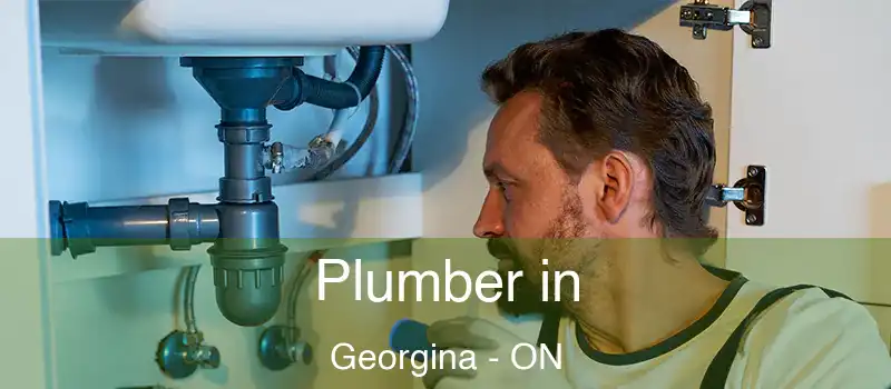  Plumber in Georgina - ON