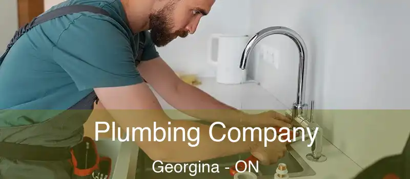  Plumbing Company Georgina - ON