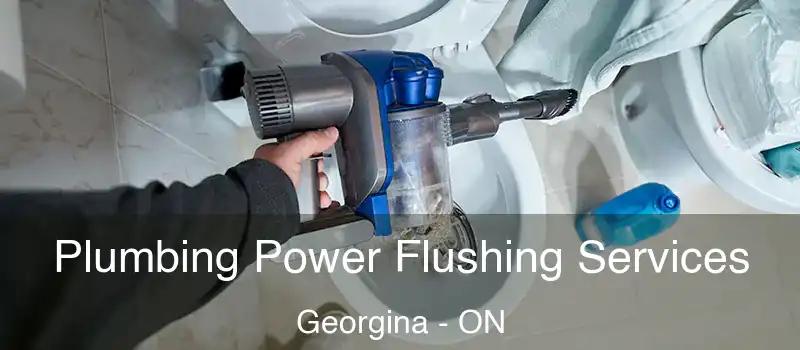  Plumbing Power Flushing Services Georgina - ON