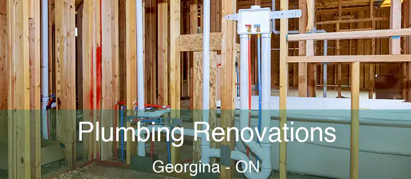  Plumbing Renovations Georgina - ON