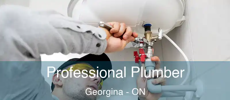  Professional Plumber Georgina - ON