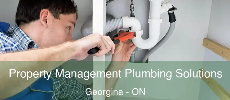  Property Management Plumbing Solutions Georgina - ON