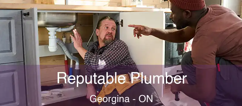  Reputable Plumber Georgina - ON