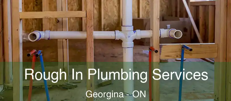  Rough In Plumbing Services Georgina - ON