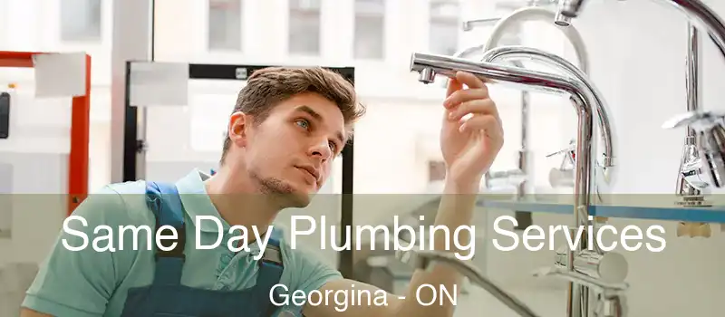  Same Day Plumbing Services Georgina - ON