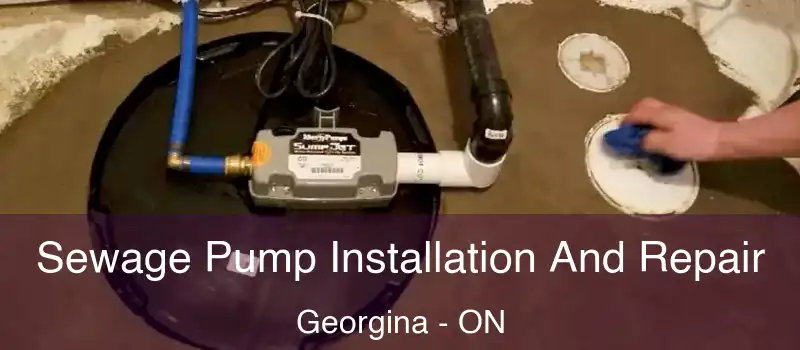  Sewage Pump Installation And Repair Georgina - ON