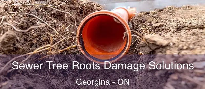  Sewer Tree Roots Damage Solutions Georgina - ON