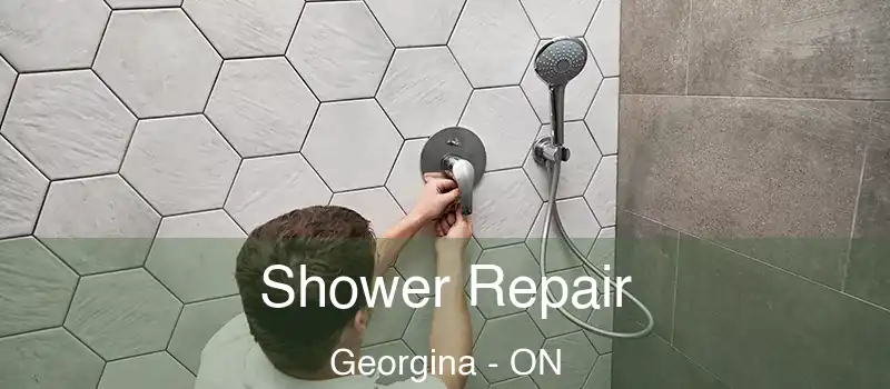  Shower Repair Georgina - ON