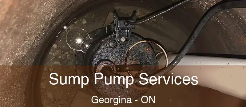 Sump Pump Services Georgina - ON