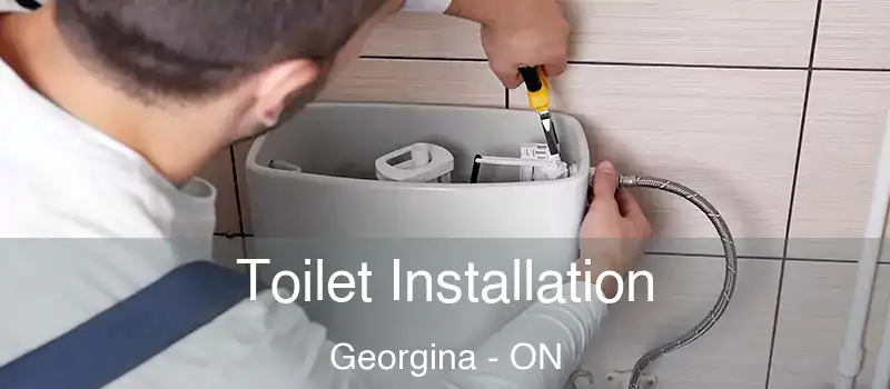  Toilet Installation Georgina - ON
