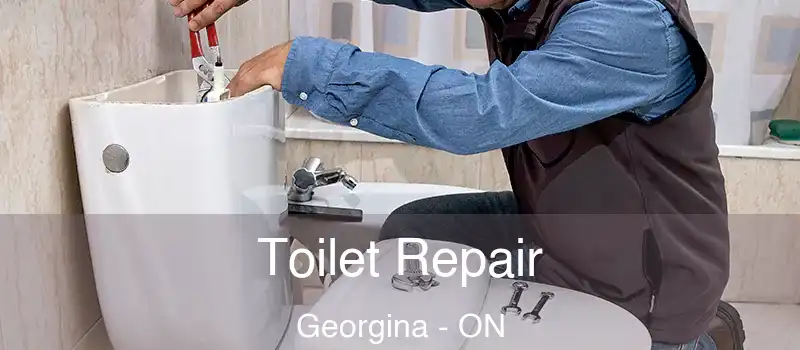  Toilet Repair Georgina - ON