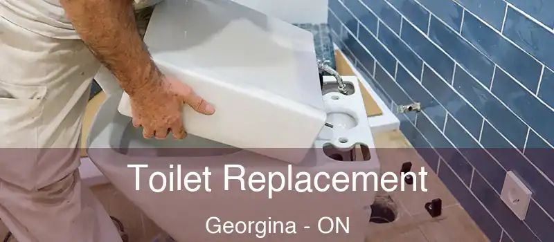  Toilet Replacement Georgina - ON