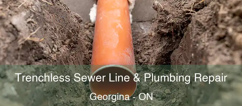  Trenchless Sewer Line & Plumbing Repair Georgina - ON