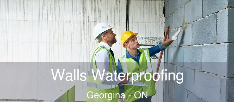  Walls Waterproofing Georgina - ON