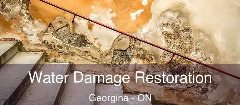  Water Damage Restoration Georgina - ON