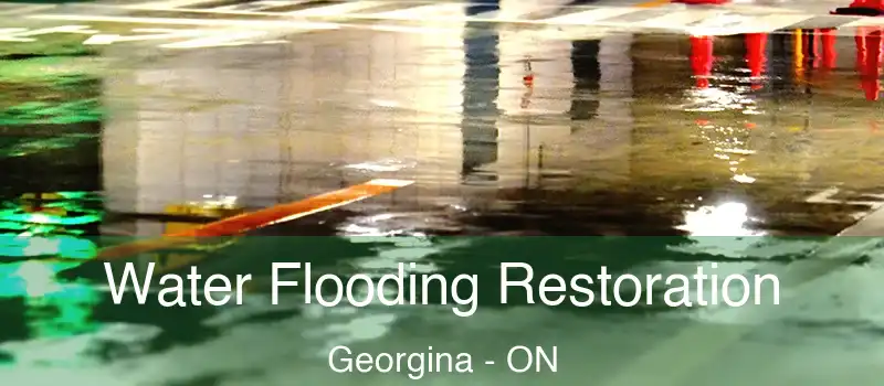  Water Flooding Restoration Georgina - ON