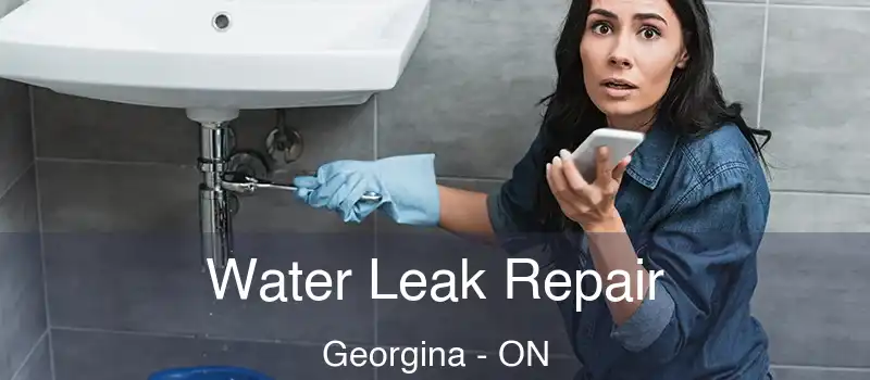  Water Leak Repair Georgina - ON