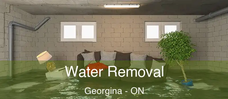  Water Removal Georgina - ON